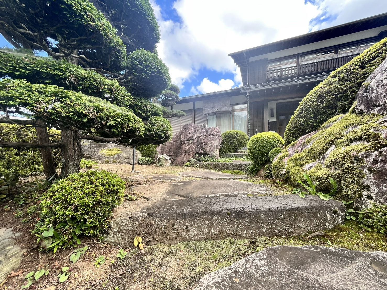 庭から見た建物
